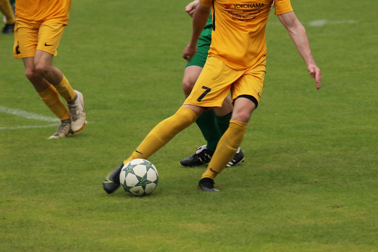 自己的预算 自己的预算