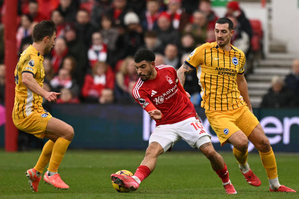 小觑的力量 小觑的力量