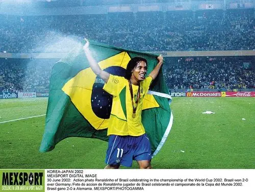 程可以窥见 程可以窥见